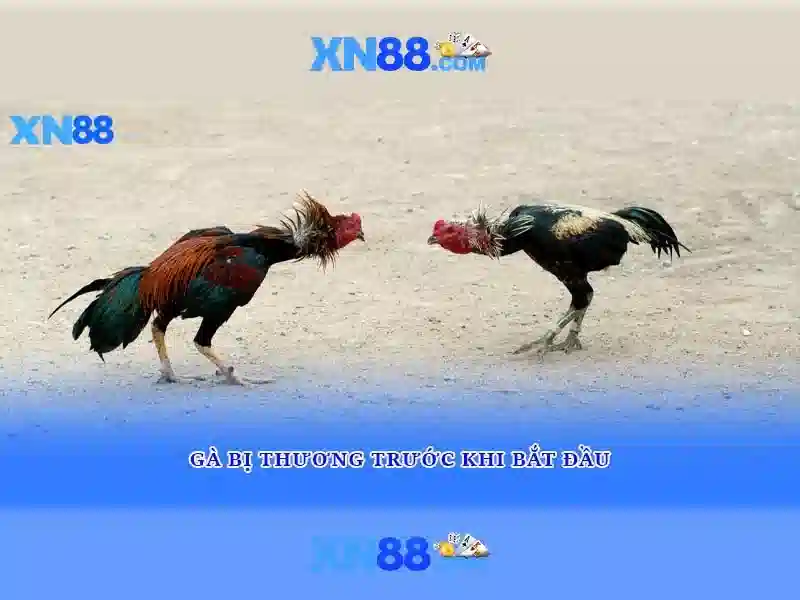 Đăng Nhập