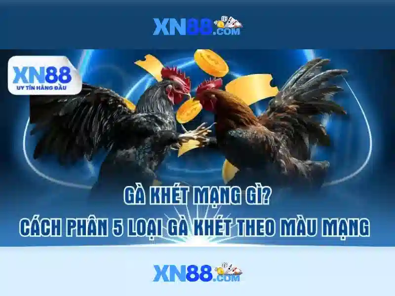 Trang chủ xn88: Khám phá giá trị thương hiệu và trải nghiệm 1 Đăng Nhập