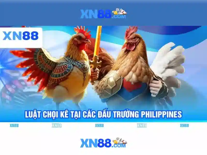 xn88: Nền tảng trò chơi trực tuyến và đánh giá 1 Đăng Nhập
