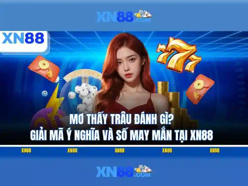 Giới thiệu về xn88