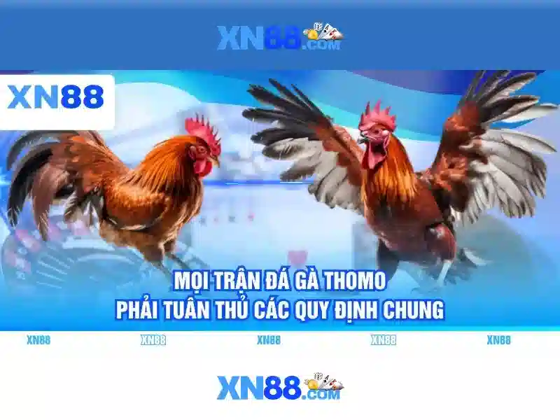 Các sản phẩm và trò chơi