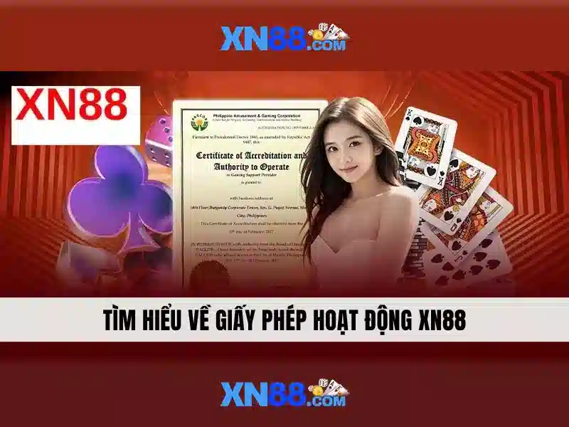 Đánh giá từ người dùng