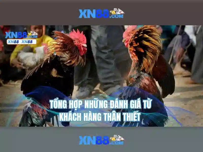 Sản phẩm và dịch vụ của XN88 Sản phẩm và dịch vụ của XN88