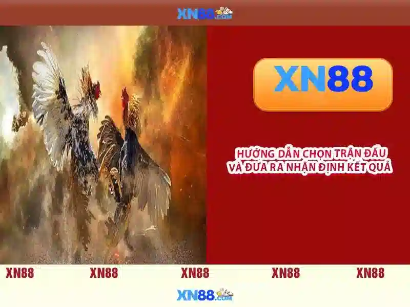Giới thiệu về xn88\n\n<h>Đặt cược an toàn và bảo mật tại xn88</h>\n<p>xn88 đặt ưu tiên hàng đầu cho bảo mật người dùng. Nền tảng áp dụng mã hóa dữ liệu, xác thực hai yếu tố và cơ chế thanh toán an toàn để bảo vệ tài sản và thông tin người chơi. Người dùng được khuyến khích tuân thủ quy định pháp lý và kiểm tra nguồn gốc giao dịch.</p>\n\n<h>Hướng dẫn đăng ký và nạp tiền</h>\n<p>Đăng ký tại xn88 khá nhanh chóng với vài bước cơ bản: điền thông tin, xác nhận tài khoản và chọn phương thức thanh toán yêu thích. Các hình thức nạp tiền bao gồm chuyển khoản, thẻ ngân hàng và ví điện tử, kèm theo các yêu cầu xác thực để đảm bảo giao dịch hợp lệ.</p>\n\n<h>Kết luận về xn88</h>\n<p>Tóm lại, xn88 mang đến trải nghiệm cá cược trực tuyến đa dạng và an toàn cho người chơi Việt. Với sự cải tiến liên tục về trò chơi, giao diện người dùng và bảo mật, xn88 là một lựa chọn đáng xem xét cho người đam mê cá cược online.</p>