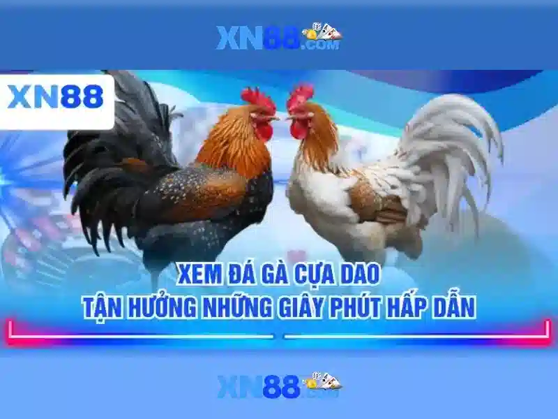 trang chủ xn88 – Tổng quan chủ đề và giá trị cốt lõi trang chủ xn88 – Tổng quan chủ đề và giá trị cốt lõi