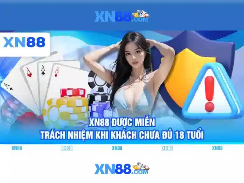 Giao diện và trải nghiệm người dùng