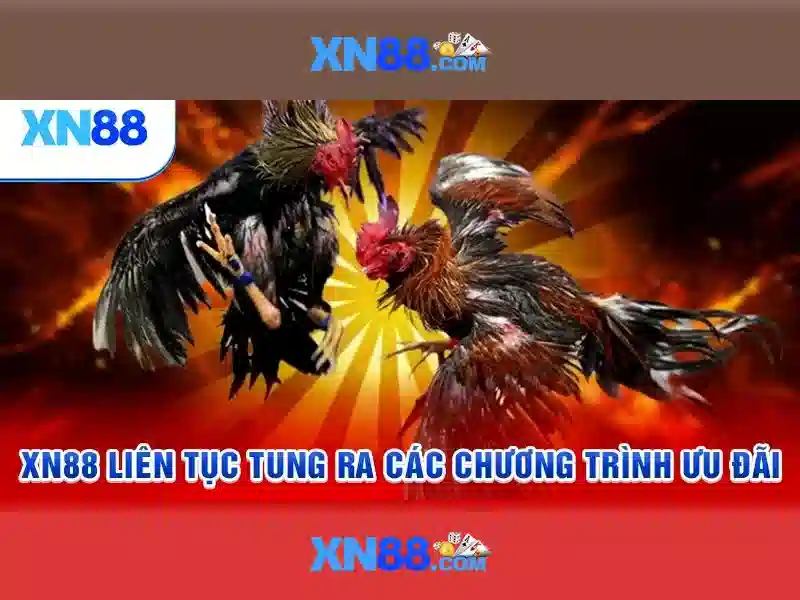 Giới thiệu xn88 Giới thiệu xn88