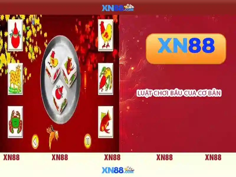 Hướng dẫn sử dụng cơ bản