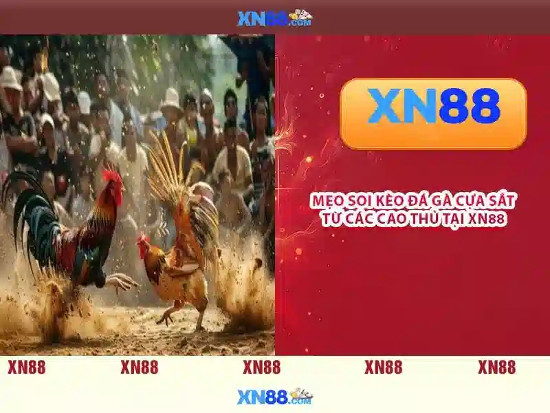 Tổng quan nổ hũ xn88