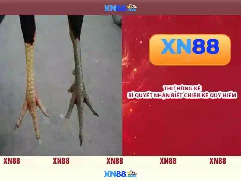 Những rủi ro và lời khuyên khi tham gia xn88<p>Cẩn trọng với thói quen cược và thiết lập giới hạn để đảm bảo trải nghiệm tích cực. Luôn xác nhận nguồn thanh toán và theo dõi lịch sử giao dịch để tránh rủi ro tài chính.</p> Những rủi ro và lời khuyên khi tham gia xn88<p>Cẩn trọng với thói quen cược và thiết lập giới hạn để đảm bảo trải nghiệm tích cực. Luôn xác nhận nguồn thanh toán và theo dõi lịch sử giao dịch để tránh rủi ro tài chính.</p>