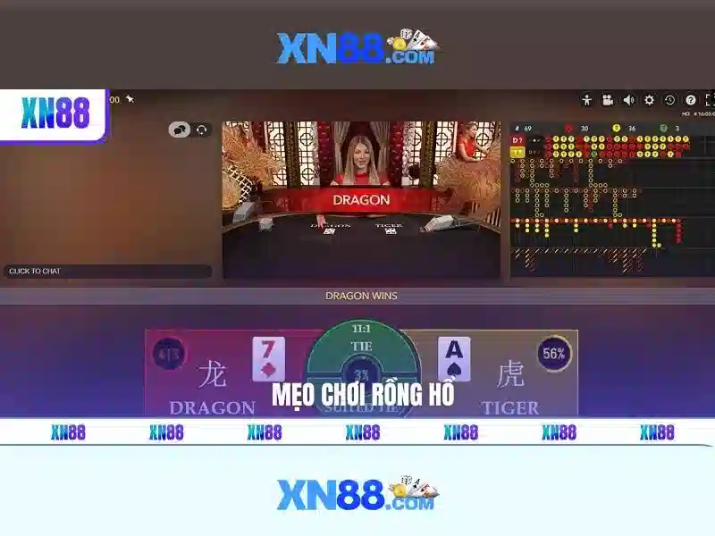 Nền tảng và trải nghiệm người dùng