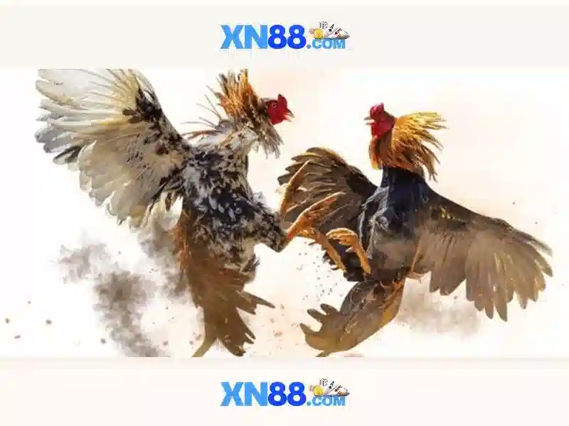 Tổng quan chủ đề và giá trị cốt lõi Tổng quan chủ đề và giá trị cốt lõi