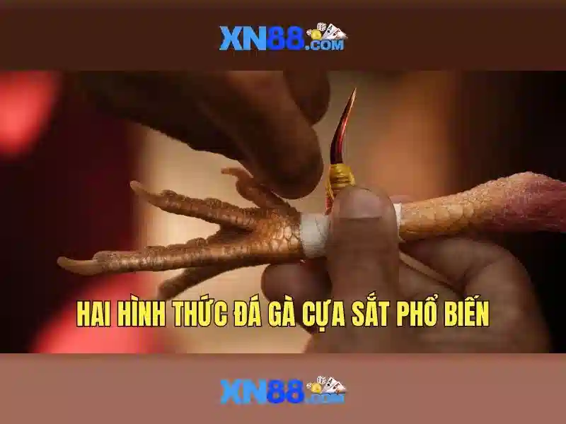 xn88: Tổng quan và ứng dụng Go88