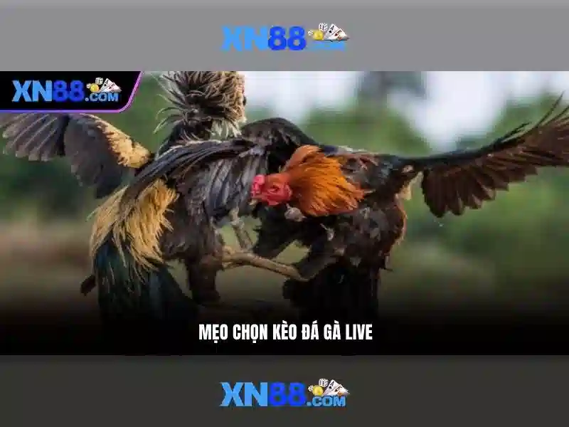 Tổng quan về xn88 và giá trị của thương hiệu