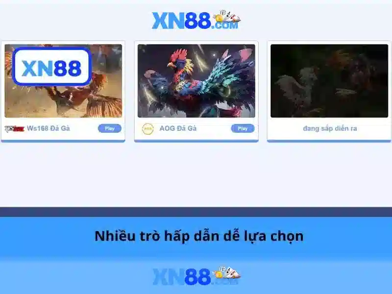 Các tính năng nổi bật