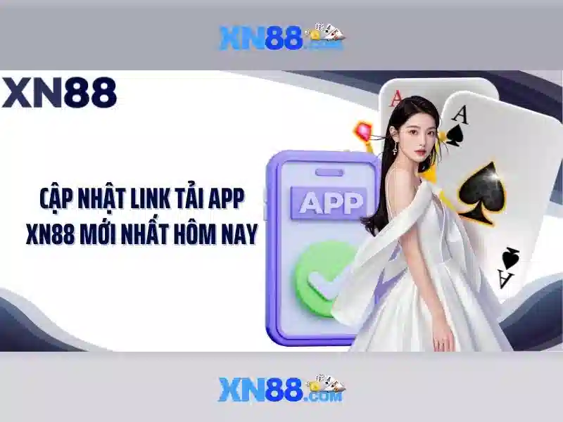 Nền tảng và chức năng