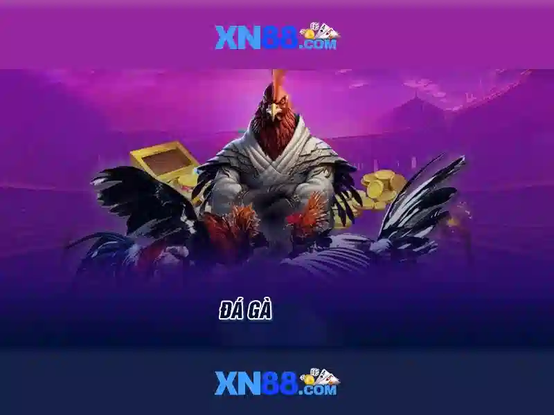 Lịch sử và nguồn gốc của xn88