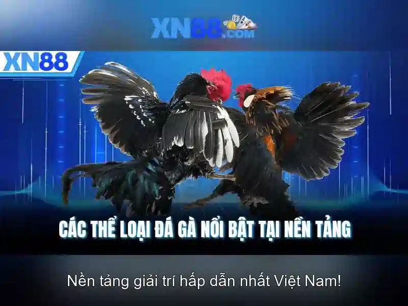 Sản phẩm và dịch vụ cốt lõi: ứng dụng xn88 สมัคร