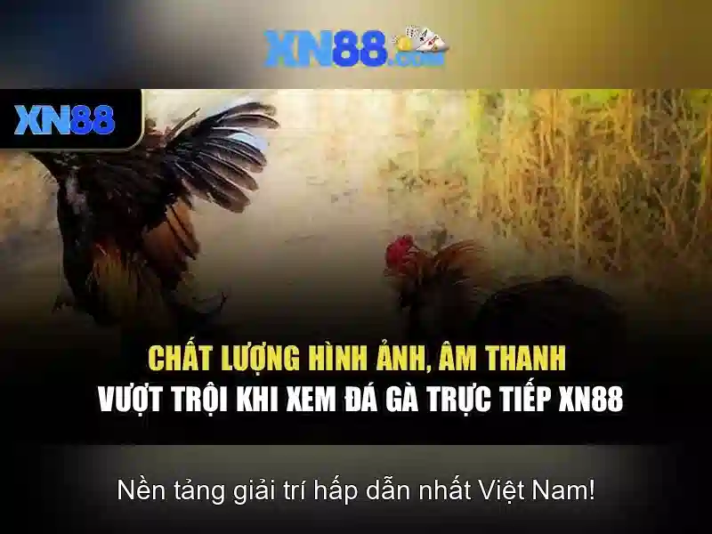 Đăng Nhập