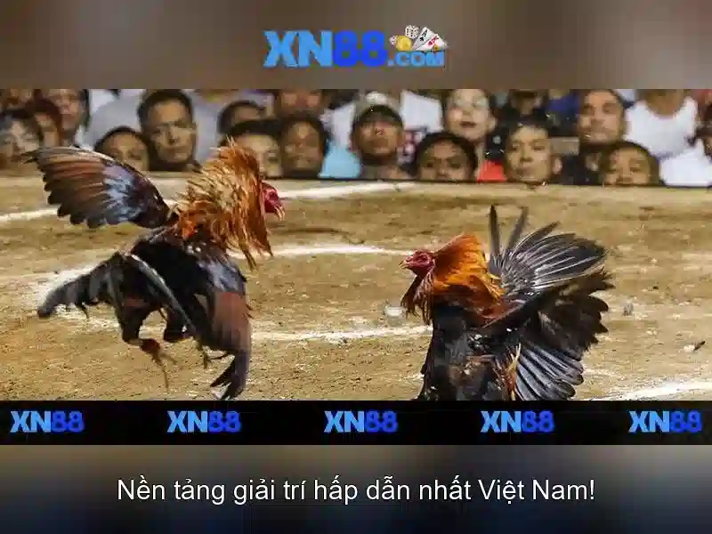 xn88: Nền tảng chơi game và cược trực tuyến Go88