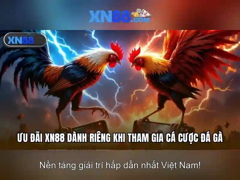 xn88: Giải mã nền tảng cá cược trực tuyến 1 Đăng Nhập