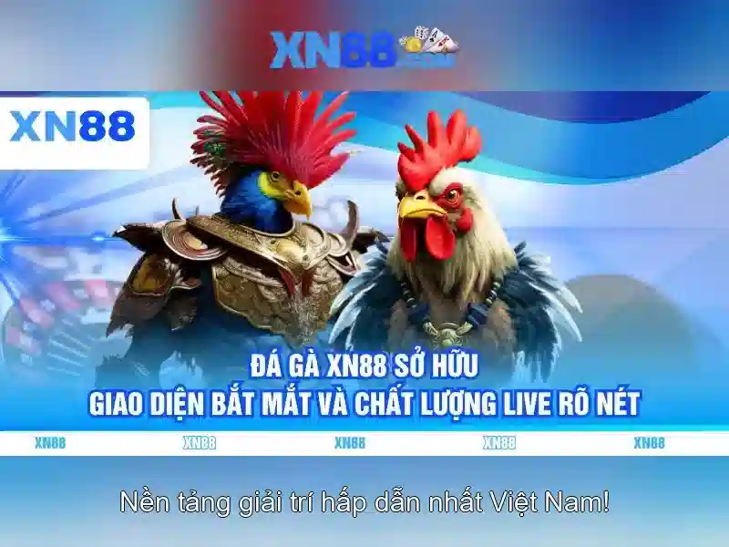 xn88: Nền tảng chơi game và cá cược trực tuyến Go88