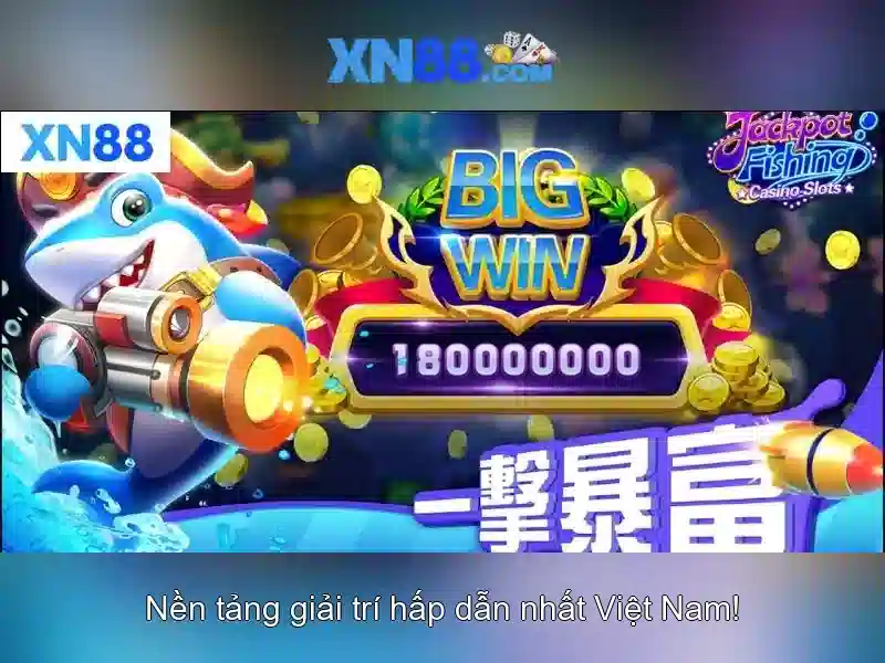 Nền tảng và giao diện Nền tảng và giao diện