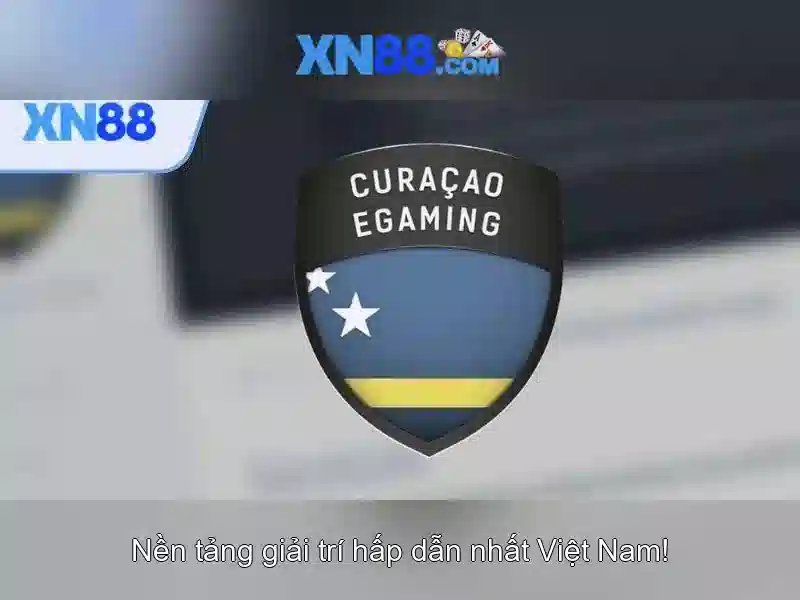 Nguồn gốc và tầm nhìn