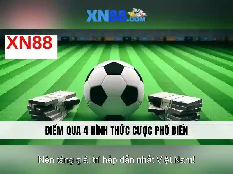 Lý do chọn xn88 cho người chơi