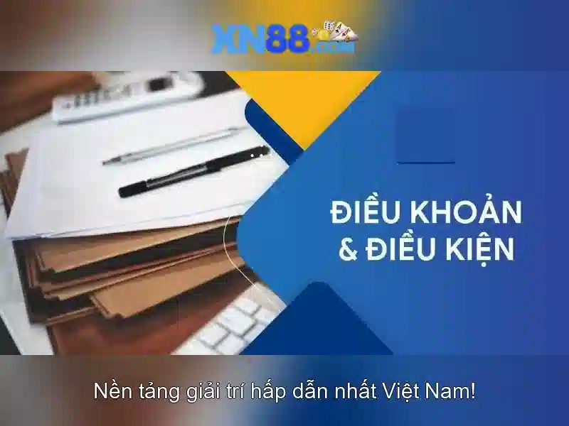 Trải nghiệm người dùng và phản hồi từ cộng đồng