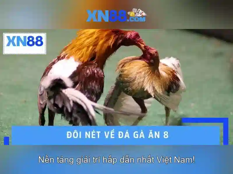An toàn và bảo mật<h>Kết luận và tương lai</h><p>XN88 tiếp tục mở rộng đối tác, cải tiến công nghệ và đem đến trải nghiệm giải trí an toàn, công bằng cho cộng đồng người chơi. Người dùng có thể kỳ vọng các cập nhật tính năng và khuyến mãi thường xuyên trong các mùa tới.</p> An toàn và bảo mật<h>Kết luận và tương lai</h><p>XN88 tiếp tục mở rộng đối tác, cải tiến công nghệ và đem đến trải nghiệm giải trí an toàn, công bằng cho cộng đồng người chơi. Người dùng có thể kỳ vọng các cập nhật tính năng và khuyến mãi thường xuyên trong các mùa tới.</p>