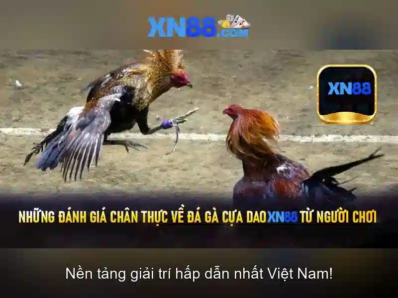 Hướng dẫn đăng ký và tham gia