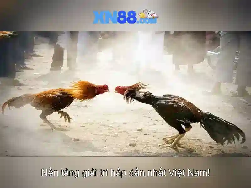 Xn88: Nền tảng cược trực tuyến 1 Đăng Nhập