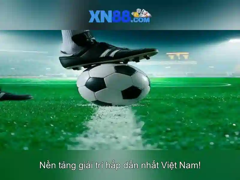 Giới thiệu về xn88