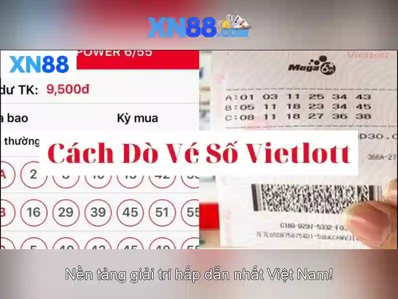 Cộng đồng người dùng và tương lai Cộng đồng người dùng và tương lai
