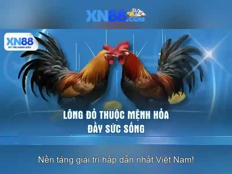 Giới thiệu xn88