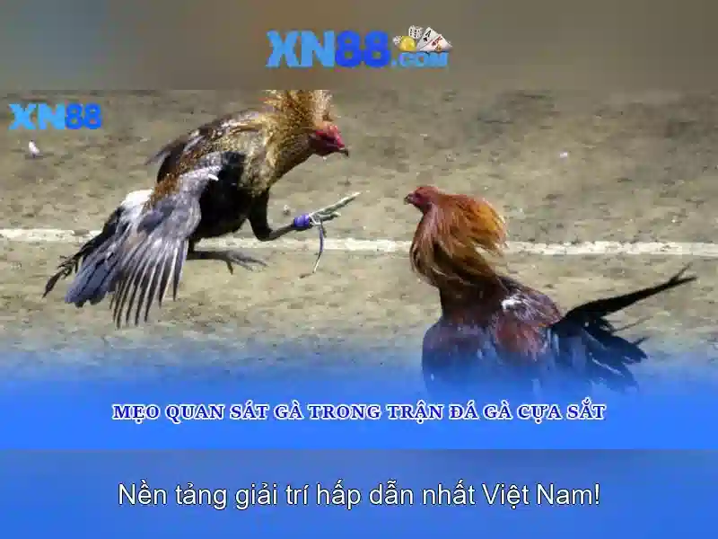 An toàn và biện pháp bảo mật