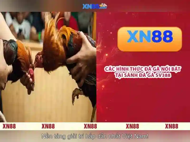 xn88: Giới thiệu về nền tảng trực tuyến Go88