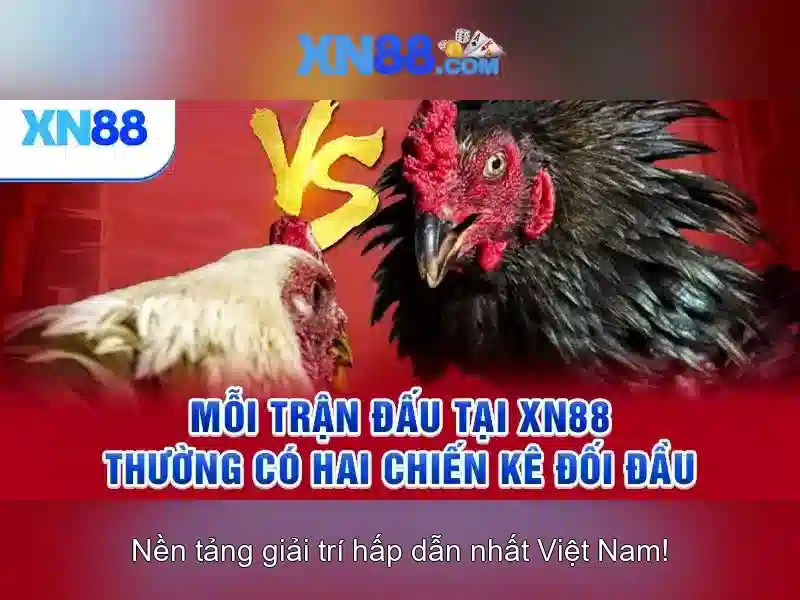 Đăng Nhập