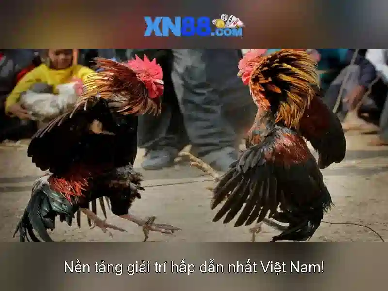 Lịch sử và uy tín Lịch sử và uy tín