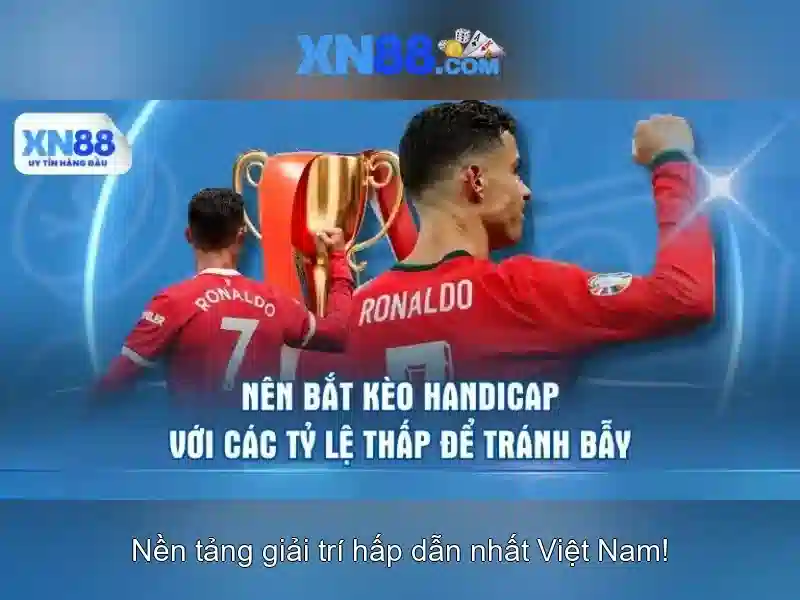 Giới thiệu về xn88