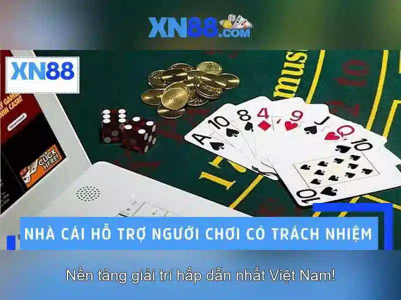 xn88 là gì?