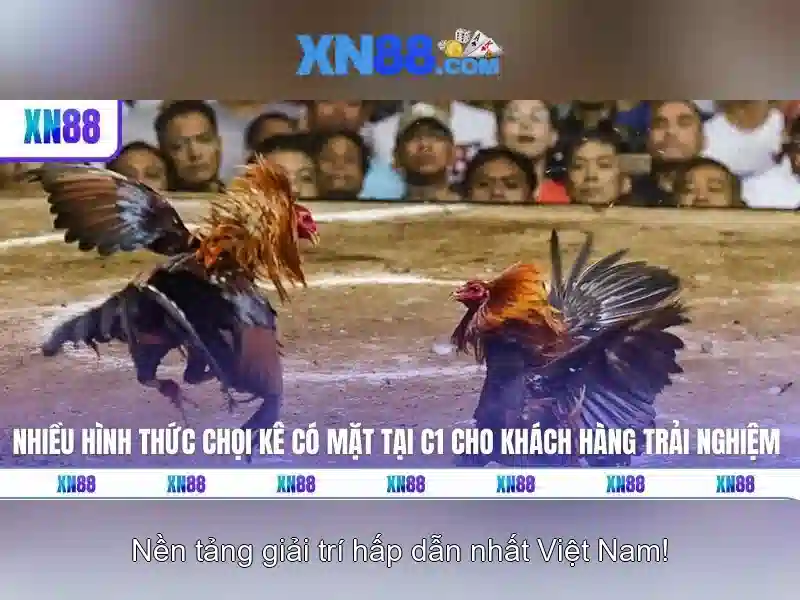 Trò chơi casino, slots và thể thao