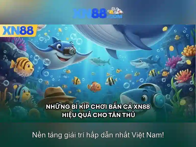 Tổng quan về xn88 Tổng quan về xn88