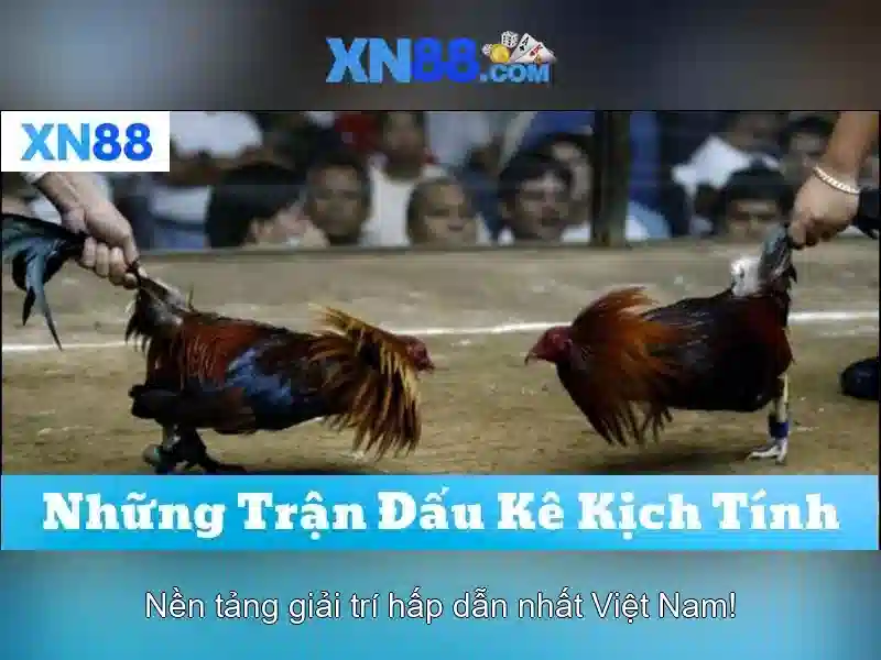 Đăng Nhập