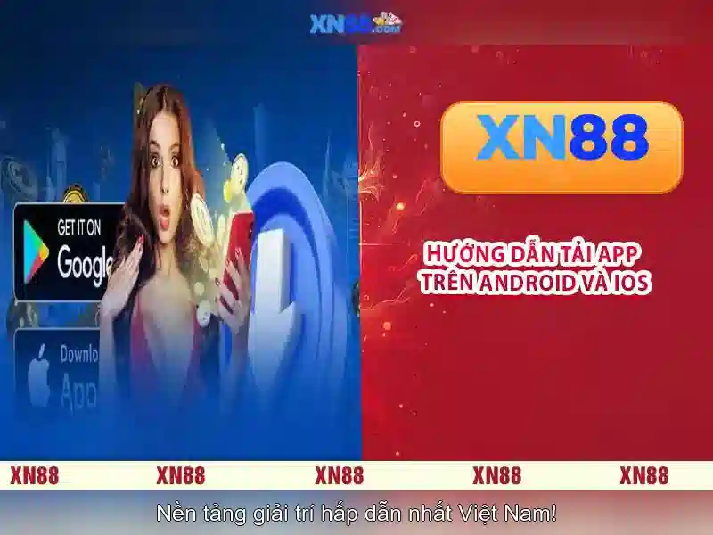 Trải nghiệm người dùng và phản hồi của cộng đồng