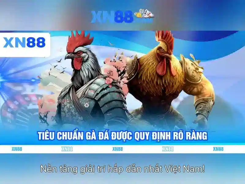 XN88: Nền tảng giải trí trực tuyến và đánh giá toàn diện Go88