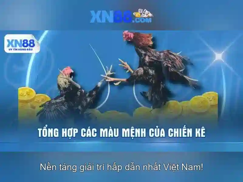 Độ tin cậy và pháp lý<h>Kết luận và lời khuyên cho người mới</h><p>Tóm lại xn88 mang lại trải nghiệm đa dạng và an toàn nếu người dùng tuân thủ nguyên tắc chơi có trách nhiệm và quản lý ngân sách hợp lý. Nên luôn cập nhật thông tin cập nhật từ nhà vận hành và chăm sóc khách hàng khi cần.</p>