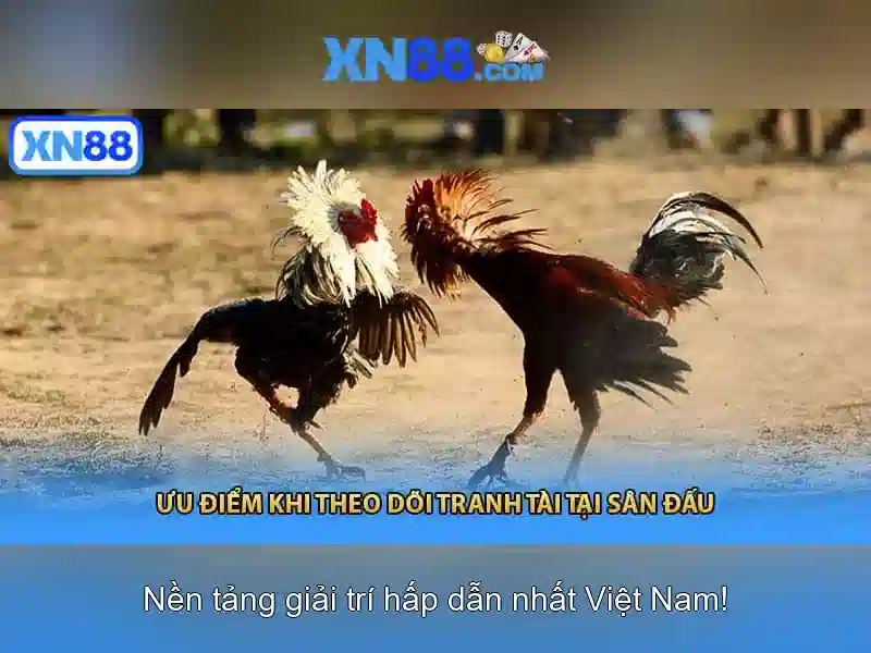 Uy tín và an toàn của XN88