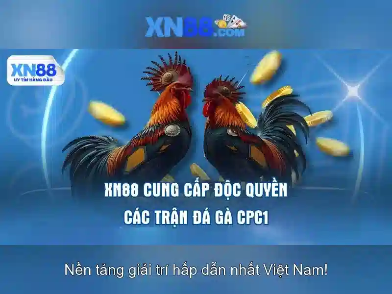 xn88 là gì? Tìm hiểu về nền tảng giải trí trực tuyến xn88 1 Đăng Nhập